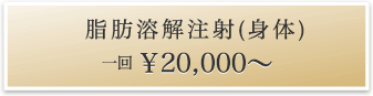 脂肪溶解注射