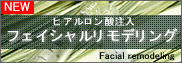 �t�F�C�V���������f�����O