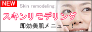 ���e�畆�Ȃɂ��X�L�������f�����O