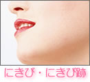 �ɂ��сE�ɂ��ѐ�
