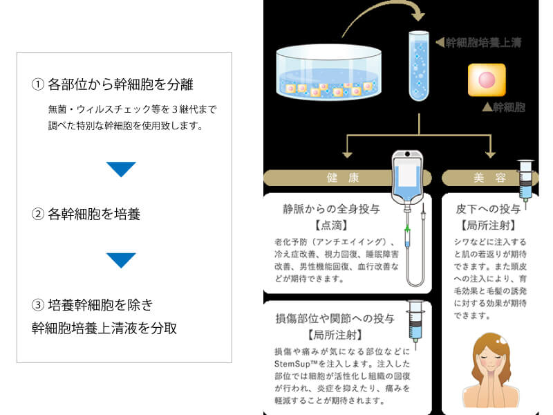 ベビーペプチド臍帯