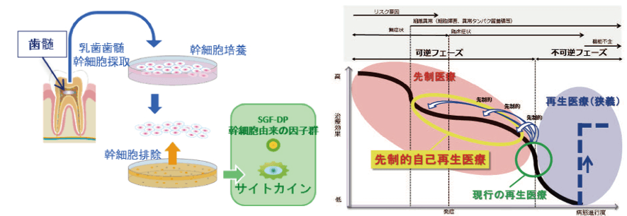 ベビーペプチド注射（幹細胞培養上清液）によるAGA治療