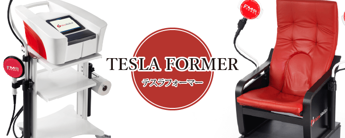 テスラフォーマー teslaformer