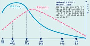 妊婦さんと歯周病の関係