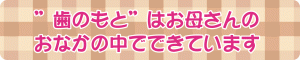 赤ちゃんの歯はいつから出来るのか