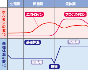 生理前のニキビについて