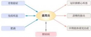 お口の中の病気と全身疾患の関係