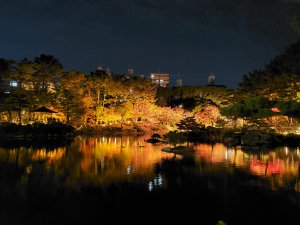 11月も本日が最終日